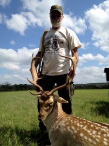 Trophy Fallow Deer Hunt